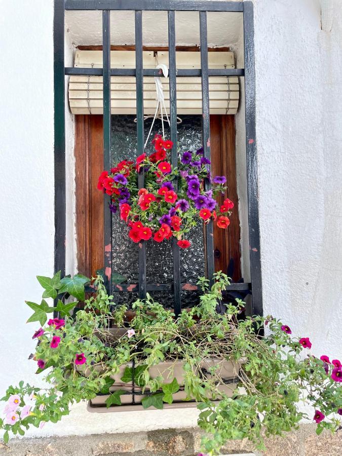 佩德罗－贝尔纳多Casa Arbol别墅 外观 照片